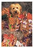 Dog in Wrapping Paper Christmas Cards