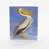 Pelican Single Greeting Card