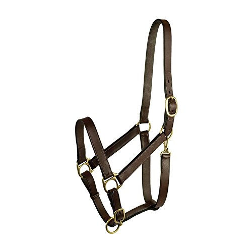 Gatsby Adjustable Turnout Halter with Snap