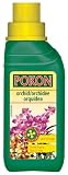 Orchid Liquid Feed by Chrysal - 250ml Bottle