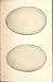 2 H/C Meyer Bird EGGS 1842 MUTE SWAN WHISTLING SWAN