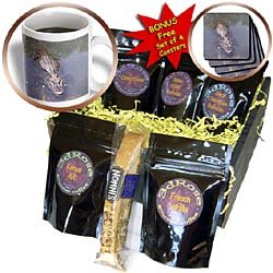 Wild animals - Alligator - Coffee Gift Baskets - Coffee Gift Basket by 3dRose LLC