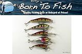 Lot of 5 Natural Brown Colored Fishing Lure Crankbaits for Bass and Trout