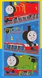 Review TerrySol  / Beach Towel - Thomas Little Engine that Could