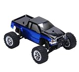 Losi
