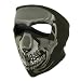 Full Face Mask - Chrome Skull