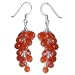 Sterling Silver Carnelian Gemstone Earring 2 Inches