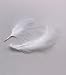 Marabou Plumage Feathers 1/2 oz White