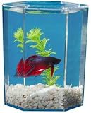 Kollercraft Beta Tank Aquarium Kit