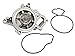 Evergreen TKTCS10422CWP Compatible With 01-10 Chevrolet Oldsmobile Pontiac Saturn GM 2.0 2.2 2.4 DOHC Ecotec Engine Timing Chain Kit Balance Shaft Water Pump Timing Cover Gasket