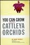 You Can Grow Cattleya Orchids