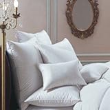 BERNINA 650 White Goose Down Pillow Size: 6 x 14