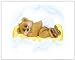 New Baby Collection - Pamper Bear - Childrens Wall Art, Kids Wall Art, Nursery Wall Art