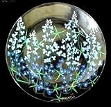 Texas Bluebonnets Design - Hand Painted - Platter/Serving Plate - 13 inch diameter