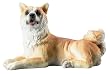 Akita Figurine - Cold Cast Resin - 4'' Length