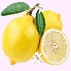 lemon essential oil