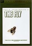 FLY