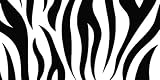 AIRBRUSHED LICENSE PLATES -ZEBRA STRIPES - #1614