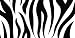 AIRBRUSHED LICENSE PLATES -ZEBRA STRIPES - #1614