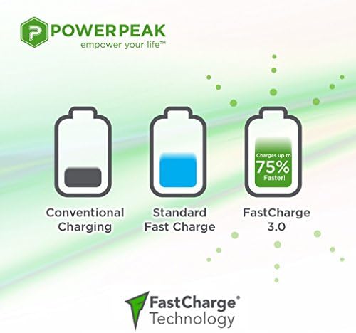 Nexus 6P FastCharge® Wall Charger + TypeC Charging Cable (Type-C Charge Port + Dual USB Ports) (By PowerPeak)