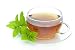 Tee Pfefferminze - Tea Peppermint 03 - 48