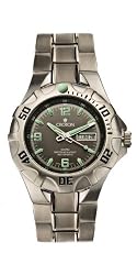Croton Men's CA301072SSGY Stainless Steel Automatic Watch