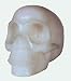 Tibetan / Tantric Meditation / Hemimorphite Stone / Skull