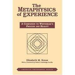 Metaphysics of Experience: A Companion to Whitehead's Process and Reality (REV) (American Philosophy)