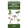 New Hampshire Trees & Wildflowers: An Introduction to Familiar Species (State Nature Guides)