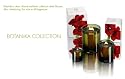 Dayna Decker Candle - BACARA 3 oz