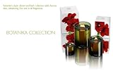 Dayna Decker Candle - Chandel Botanika - Bacara 3 oz
