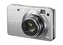 Sony CyberShot W170 Digital Camera - Silver (10.1MP, 5x Optical Zoom) 2.7" LCD