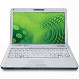 Satellite U505-S2005WH Q1-2