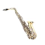 Cecilio 2Series Gold Lacquer w / Nickel Plated Keys Alto Saxophone w / Carrying Case and Accessories - B00157NCBQ