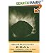 Combustion and Gasification of Coal (Applied Energy Technology Series)