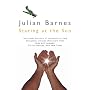 Staring at the Sun (Picador Books)