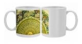 Fan in the museum Photo Mugs
