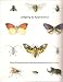 Search : Judging By Appearance: Master Drawings From the Collection of Joseph and Deborah Goldyne