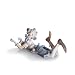 Lladro�����ɥ����ԥ����μ��ʡ�01006913 ���¹��ʡ�