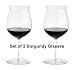 Metrokane Rabbit Burgundy/Pinot Wine Glasses, Set of 2