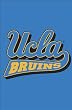 UCLA Bruins Flag - Garden Size