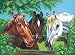 Reeves Painting On Canvas Acrylic Paint By Number Kit 11