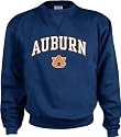 Auburn Tigers Kids/Youth Perennial Crewneck Sweatshirt