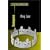 Cambridge Student Guide to King Lear (Cambridge Student Guides)