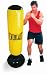 Everlast Inflatable Punching Bag with Pump