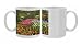 Photo Mugs of Tulip and hyacinth from Danita Delimont