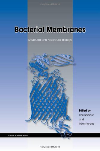 Bacterial Membranes: Structural and Molecular Biology