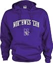 Northwestern Wildcats Perennial Hooded Sweatshirt