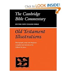 Old Testament Illustrations (Cambridge Bible Commentaries on the Old Testament)