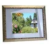 Digital Spectrum 19-Inch Digital Photo Frame (Gold)